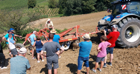 Posnetek zaslona 2026-02-10 085656