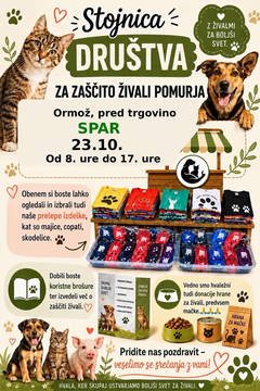 PLAKAT DZŽP - Stojnica Spar_23.10.2026